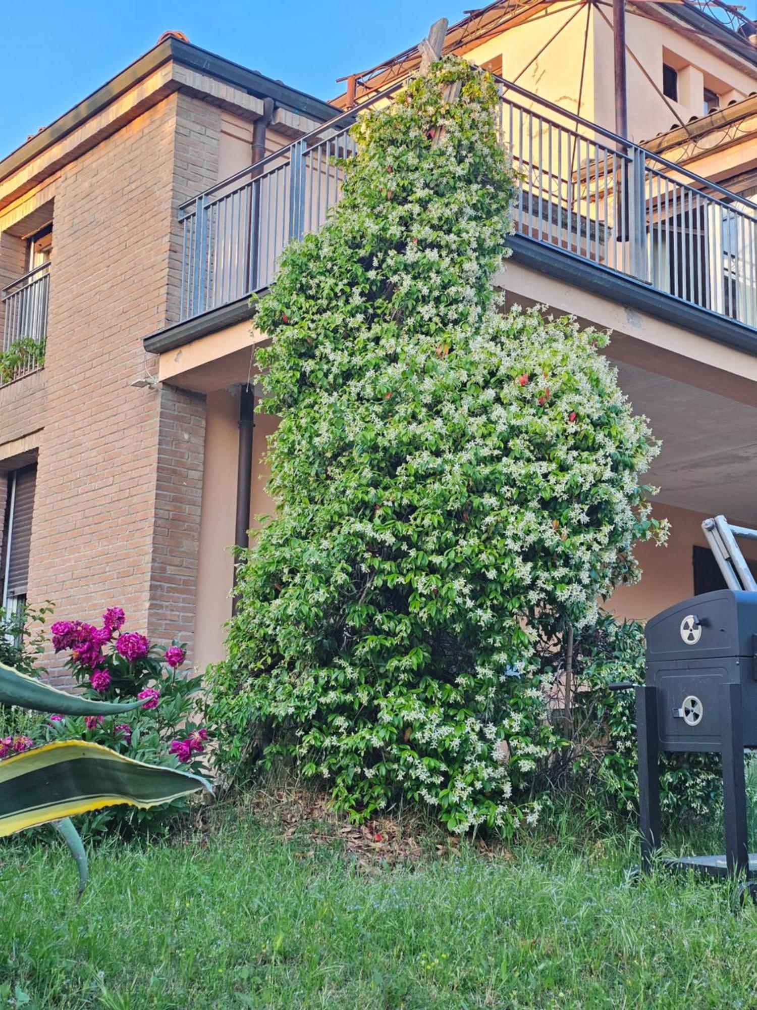 Casa Vincenzo 130 Mq Con Portico Ed Ingresso Esclusivo Dal Giardino Villa Felino Eksteriør bilde